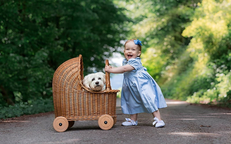 Girl with Dog, baby carriage, baby, girl, dog, smile, HD wallpaper