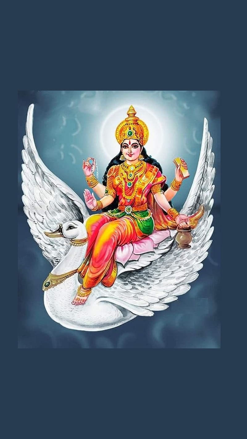 Chamunda Maa, Bharmani Mata, lord, god, HD phone wallpaper