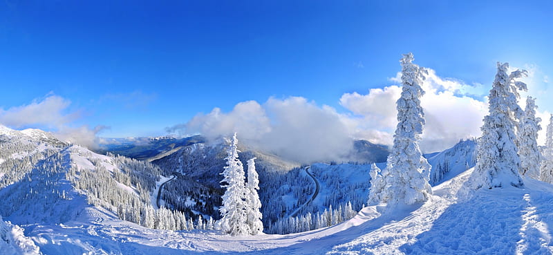 Snowy Forest Road Panorama, forest, trees, clouds, winter, panorama, cold, snow, mountains, blue sky, road, white, frost, HD wallpaper
