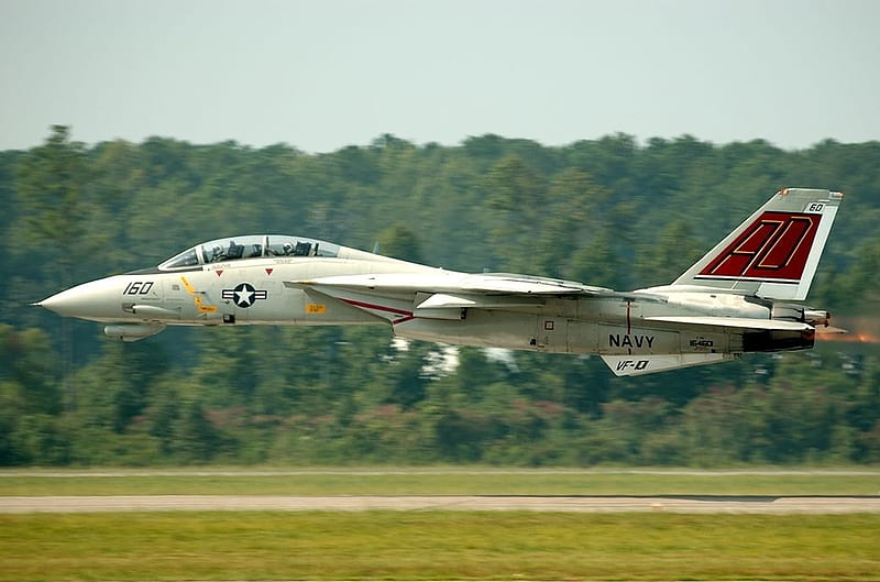 Grumman F-14 Tomcat, f 14 tomcat, us navy, f 14, united states navy, HD wallpaper