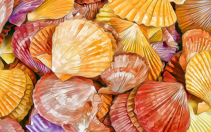 colorful shells, macro, artwork, shells textures, background with shells, HD wallpaper
