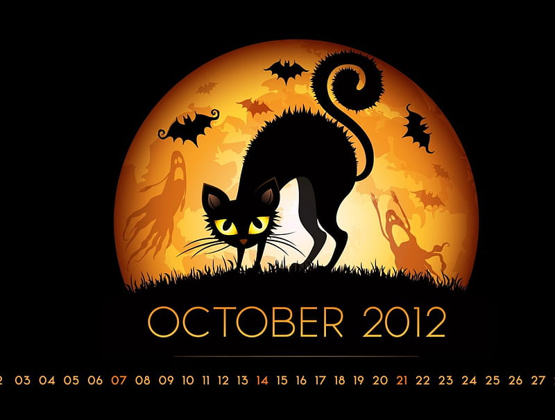 Scaredy Cat, bats, orange, halloween, black, cat, light, HD wallpaper