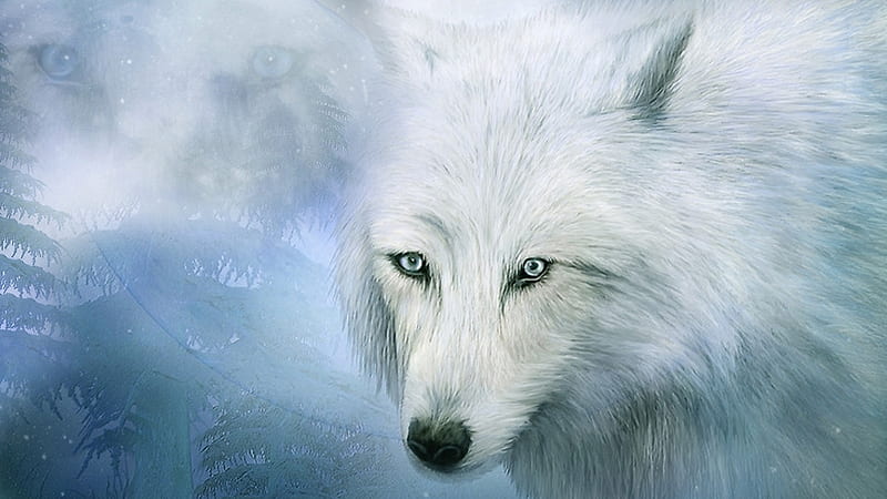 Spirit of the White Wolf, collage, white wolves, spiritual, foliage, totem, moon, Native American, wolf, eyes, HD wallpaper