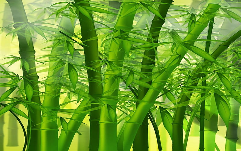 Bamboo, nature, green, grass, HD wallpaper