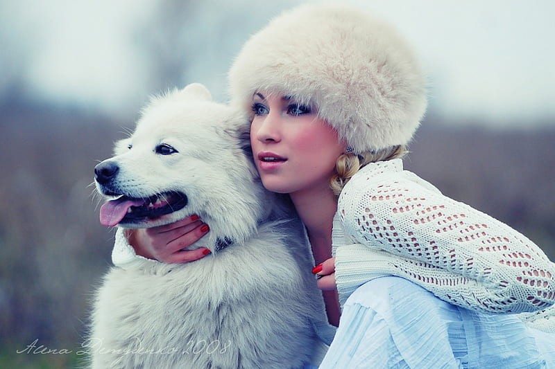 Two Beauties in Winter, posed, graphy, bonito, white, dog, gorgeous, winter, HD wallpaper