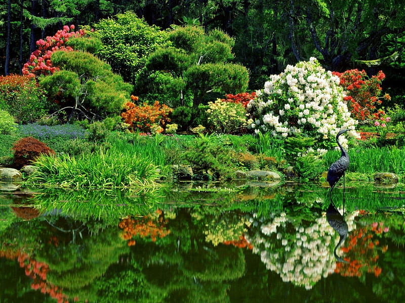 Garden & the Lake, beauty, cool, nice, great, HD wallpaper