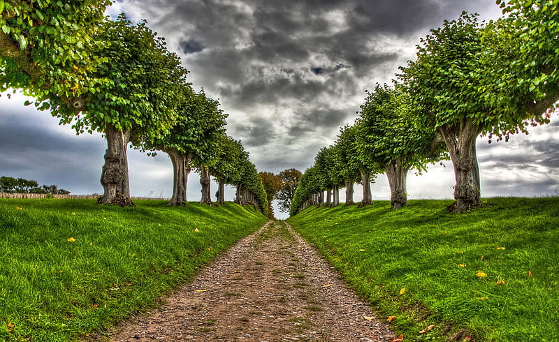early autumn, late summer, path, sky, trees, HD wallpaper