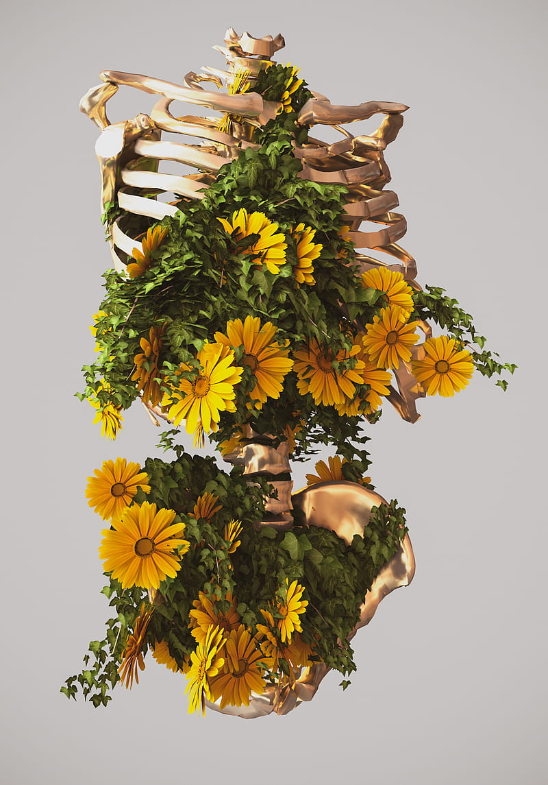 Huesos y flores, 3d, anatomía, art, guays, oro, rinde, amarillo, Fondo de  pantalla de teléfono HD | Peakpx