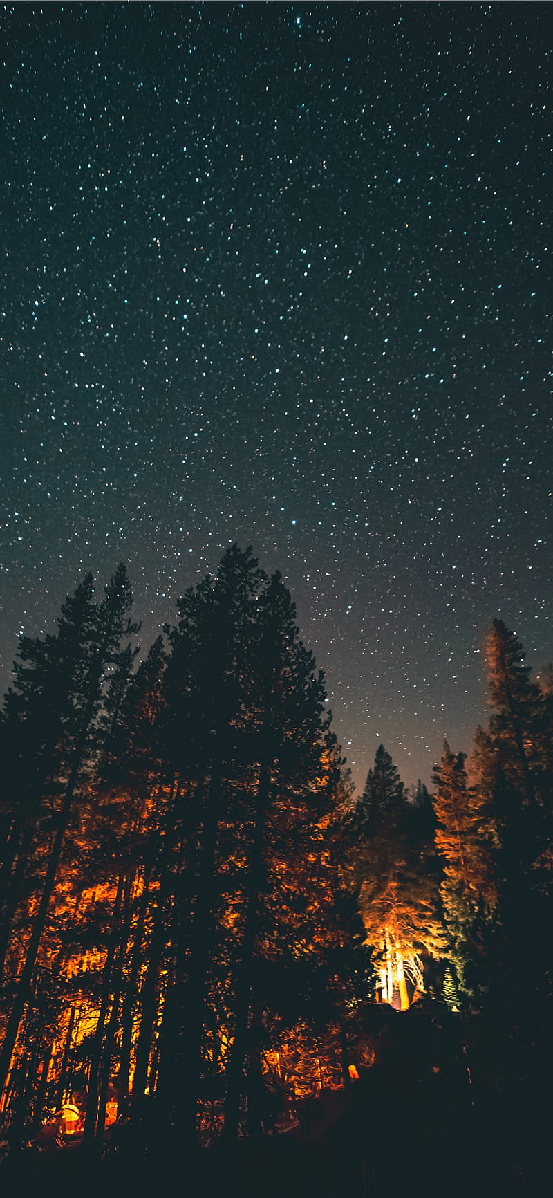 Antecedentes, bosque, cielo, cielo nocturno, estrellas, iphone, Fondo de  pantalla de teléfono HD | Peakpx