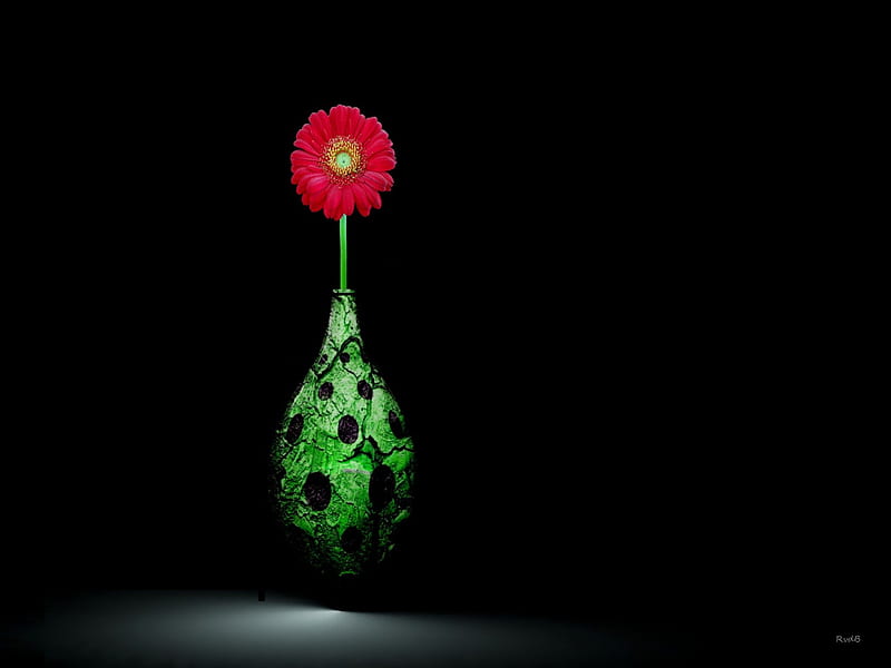 *Only One*, red, only one, graphy, green, flower, gerbera, vase, beauty, HD wallpaper