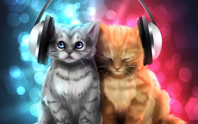 Cats listening music, cat, kitten, earphon, listen, HD wallpaper