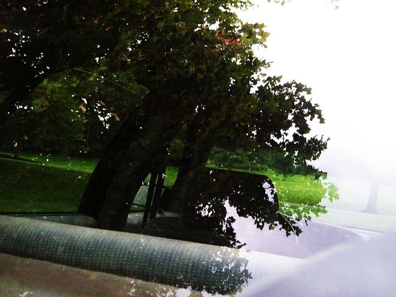 Windshield Reflecitivity, car, reflection, trees, windshield, light, HD wallpaper