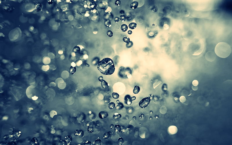 Drops of water droplets macro graphy, HD wallpaper