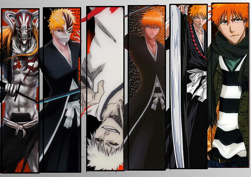 Vizards have access to both Shinigami and hollow powers (shikai