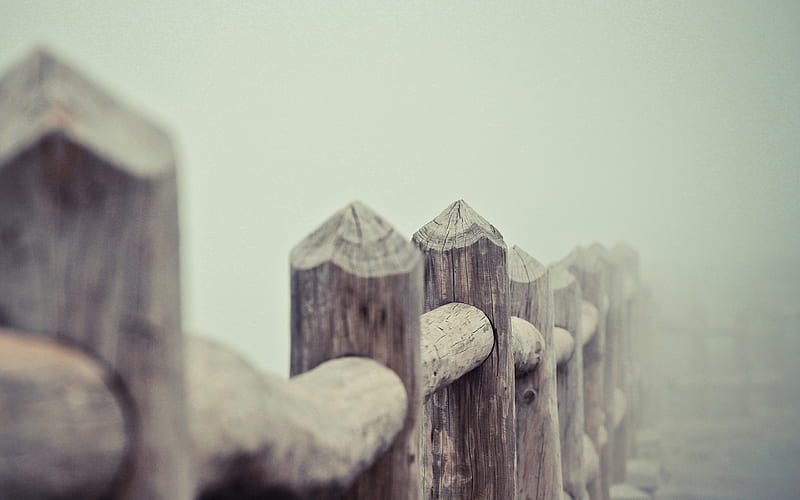 fence blur fog-High Quality, HD wallpaper