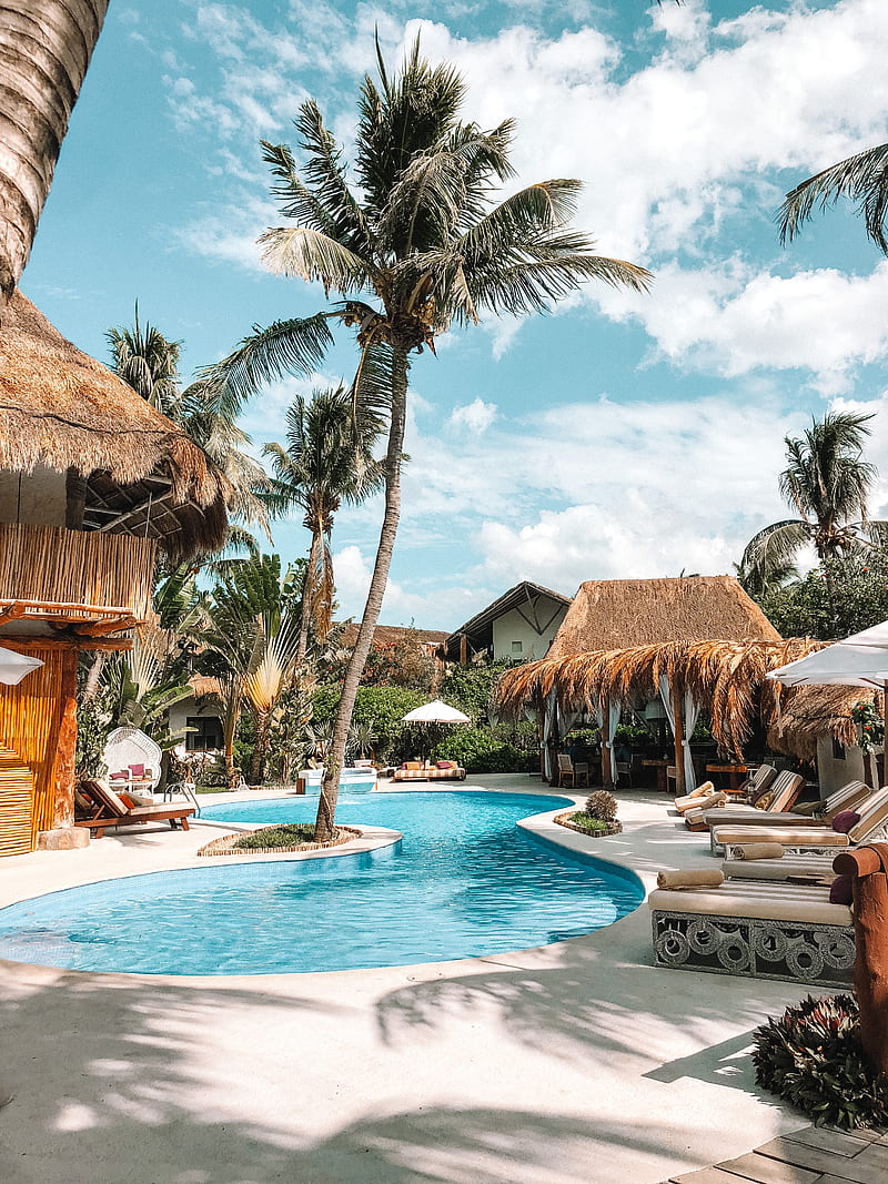 pool, palm trees, rest, summer, tropics, HD phone wallpaper