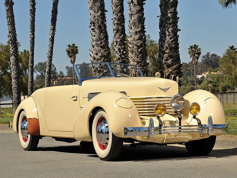 1937 Cord 812 Phaeton, 1937, phaeton, palm, cord, 37, elegant, tree, antique, sc, car, 812, classic, luxury, vintage, HD wallpaper