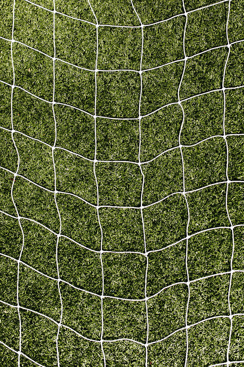net, grass, lawn, texture, HD phone wallpaper