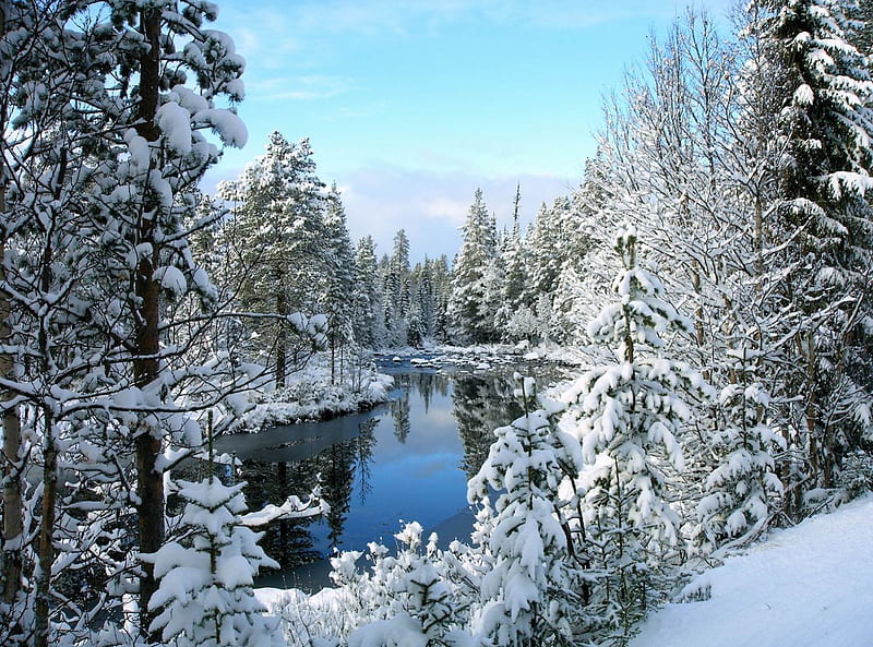 A Winter's Day, Lake, Snow, Pristine, Winter, HD wallpaper