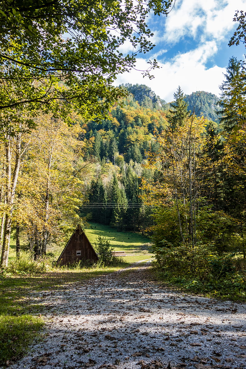 hut, road, trees, mountain, nature, HD phone wallpaper
