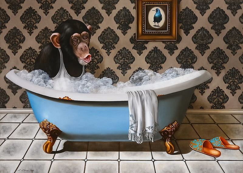 :D, primate, monkey, bath, maimuta, cimpanzeu, HD wallpaper