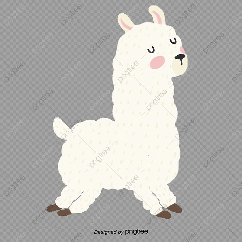 Llama PNG Transparent, Cute Cartoon Llama, HD phone wallpaper