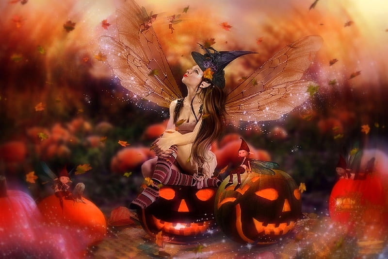 halloween fairies wallpaper