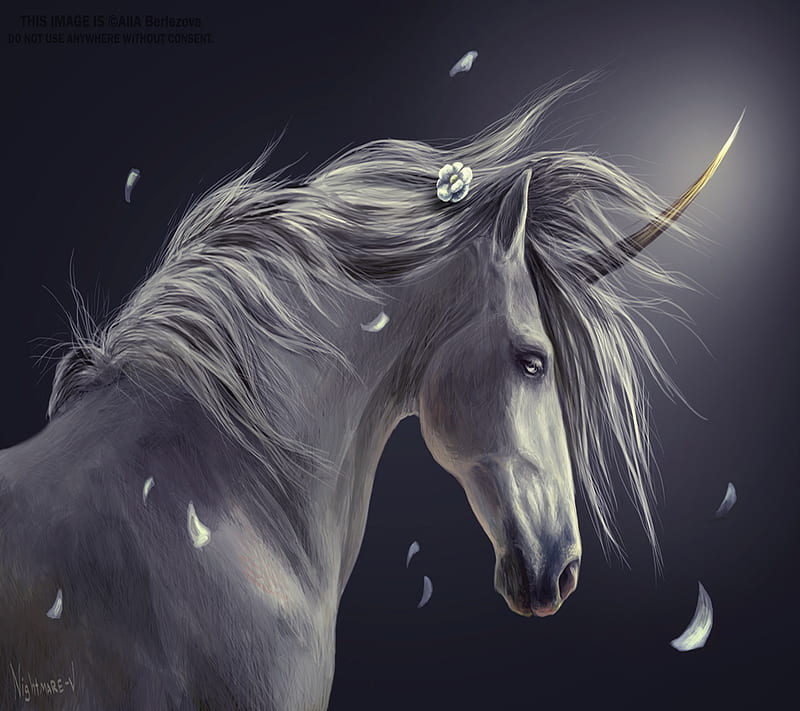 Fantasy Unicorn, HD wallpaper