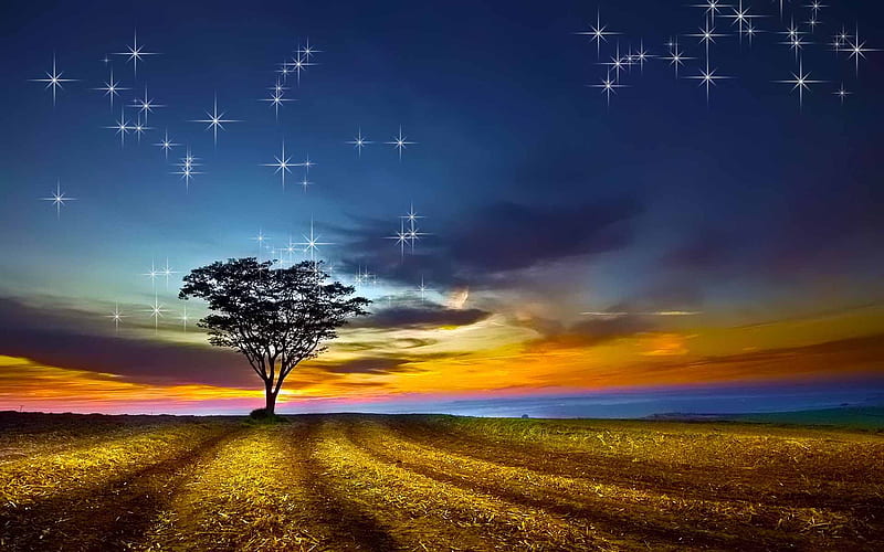 Nightfall Starry, track, colorful, tree, starry, sky, field, HD wallpaper