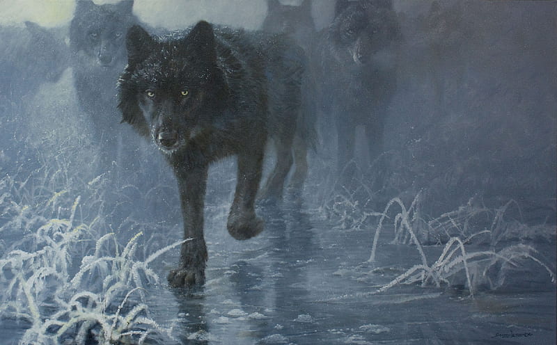 Black wolf, frozen, iarna, winter, animal, art, black, painting, lup, wolf, john seerey lester, pictura, HD wallpaper