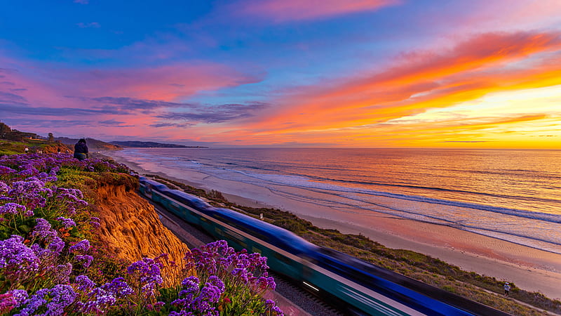 Train Between California Coast Pacific Ocean And Flowers During Sunset Nature, HD wallpaper