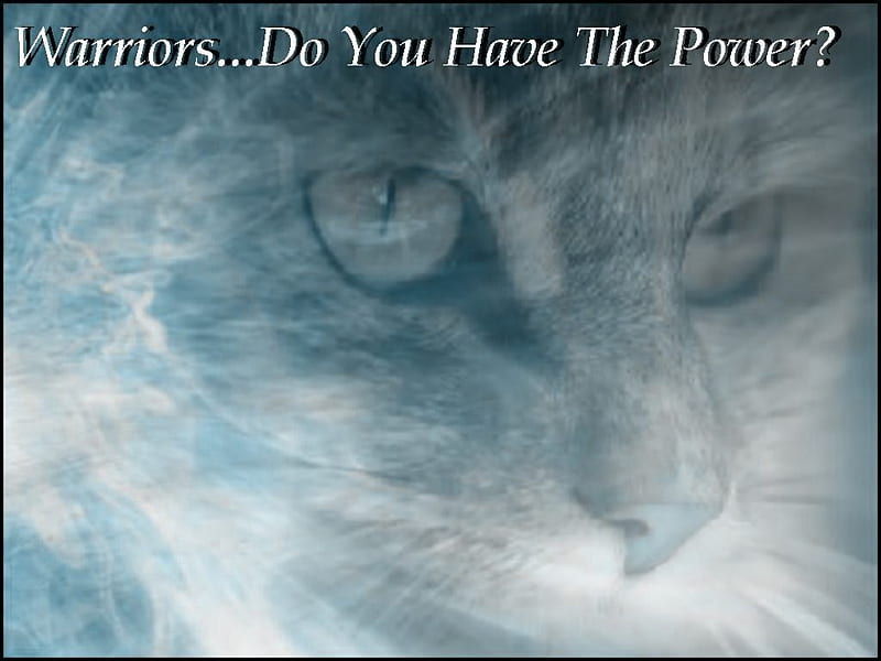 Do You have the Power?, warriors, wind, power, cats, animals, HD wallpaper