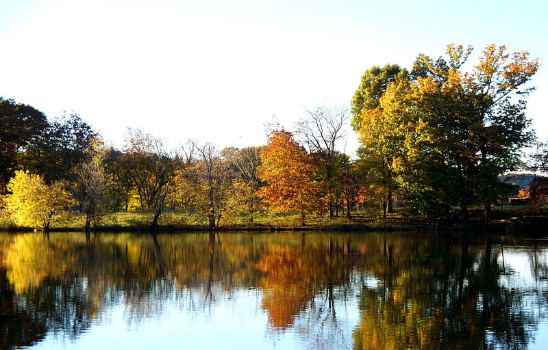 Cumberland River, fall, autumn, water, river, trees, sky, HD wallpaper