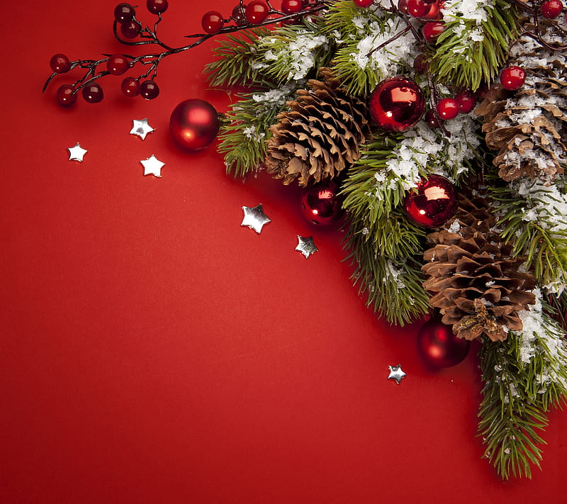 X-Mas Time, christmas, cone, holiday, pine, tree, xmas, HD wallpaper