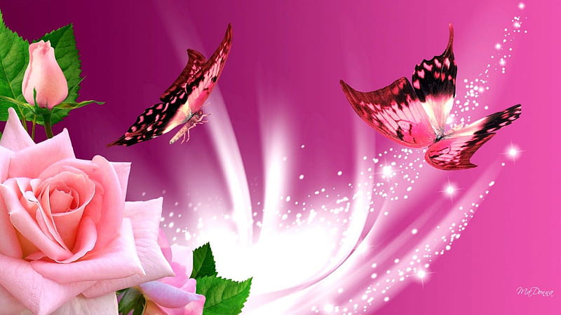 Pink Butterfly With Pink Roses In Pink Background Pink Butterfly, HD wallpaper
