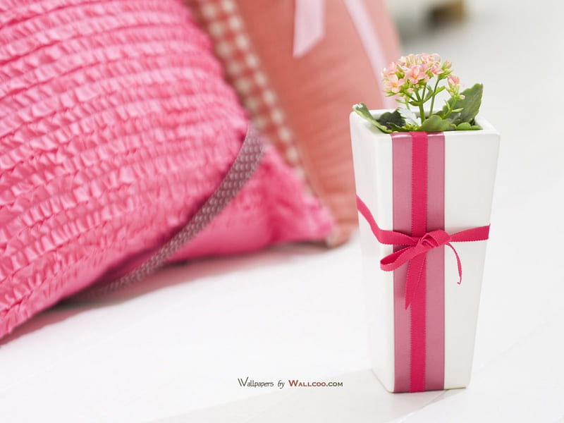 Something Pink, pot, graphy, abstract, pink, HD wallpaper