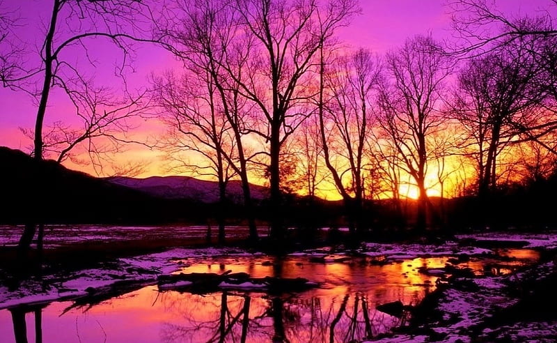Sunset in Winter, lakes, dawn, orange, silhouettes, sunset, trees, sky, purple, nature, reflection, pink, HD wallpaper