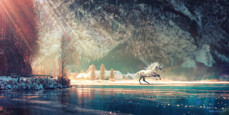 Horse Running Fantasy , horse, animals, artist, HD wallpaper