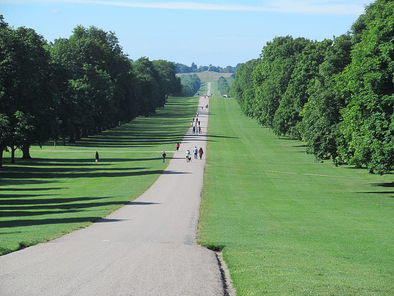 The Long Walk, Walks, Castles, Pathways, Windsor, UK, Berkshire, HD wallpaper