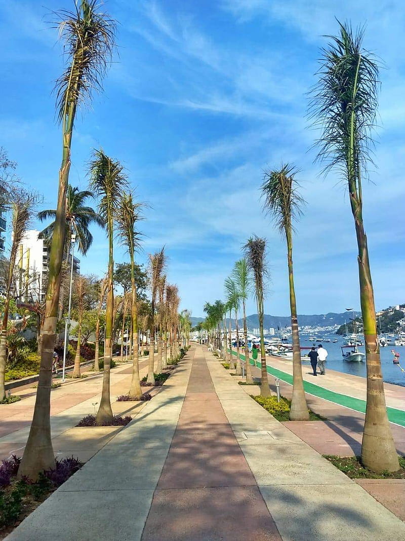 Acapulco costera, playa, mar, playa, Fondo de pantalla de teléfono HD |  Peakpx