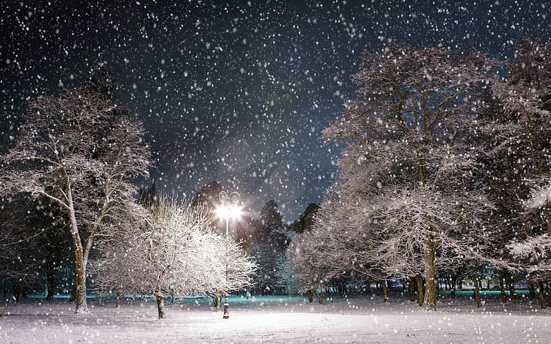 winter night-Winter landscape, HD wallpaper