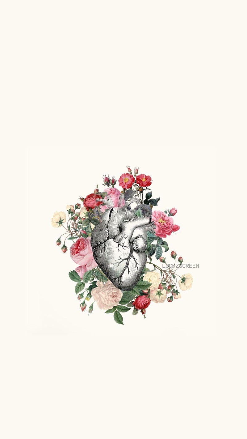 Heart Anatomy Wallpapers  Wallpaper Cave
