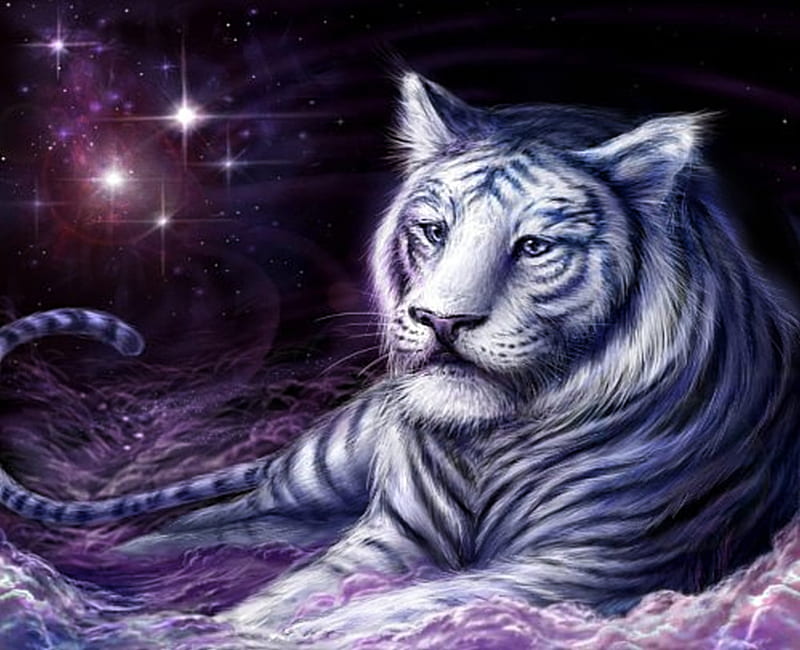 Cosmic Tiger, ability, cool, beauty, wow, fascinating, HD wallpaper