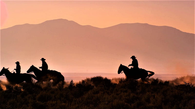cowboys at sunset, sunset, pink, wild west, cowboys, HD wallpaper