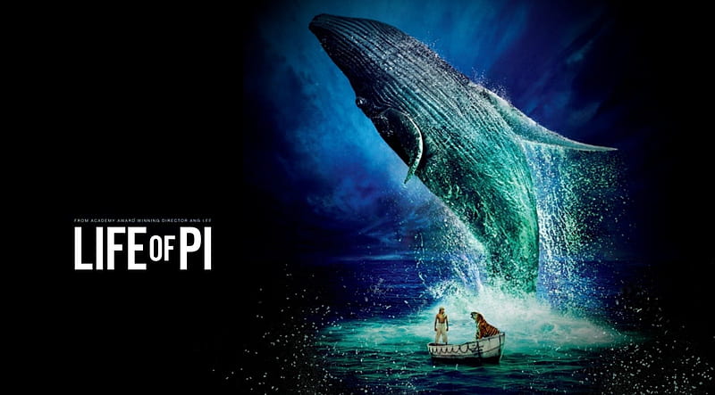 LIFE OF PI, whale, block buster, movie, film, HD wallpaper | Peakpx