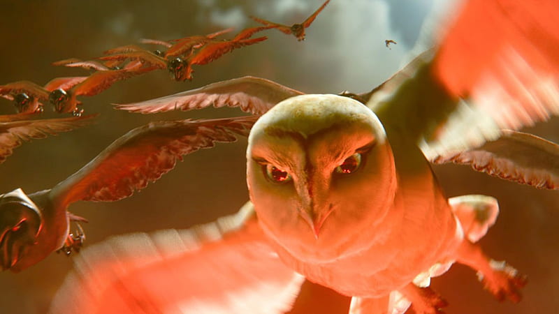 Legend of the Guardians-The Owls of GaHoole movie 35, HD wallpaper