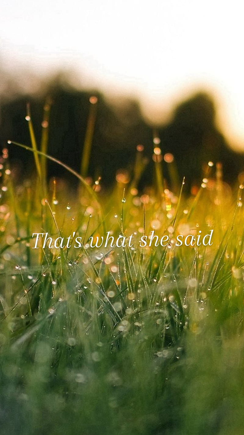 Thats what she said, grass, green, inspirational, inspirational quotes, jokes, memes, michael scott, nature, the office, HD phone wallpaper