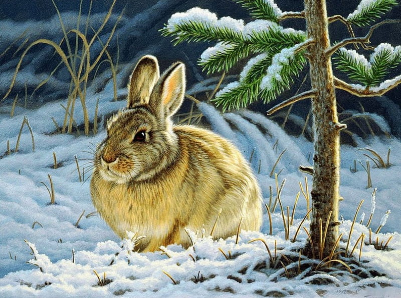 Bunny In Winter, Painting, Rabbit, Snow, Artwork, Hd Wallpaper 