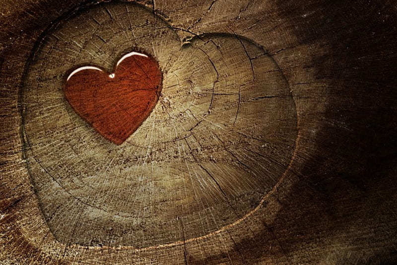 Sap Heart Over Wooden Heart, love, heart, corazones, wooden, Sap, wood, HD wallpaper