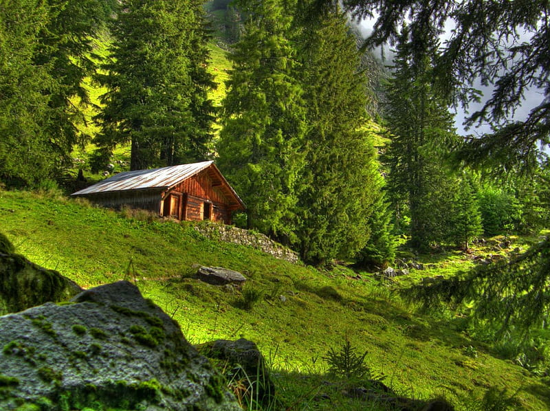 Bosque, casa, cabaña, cabaña, bonita, de madera, encantadores, pendiente,  hermoso, Fondo de pantalla HD | Peakpx